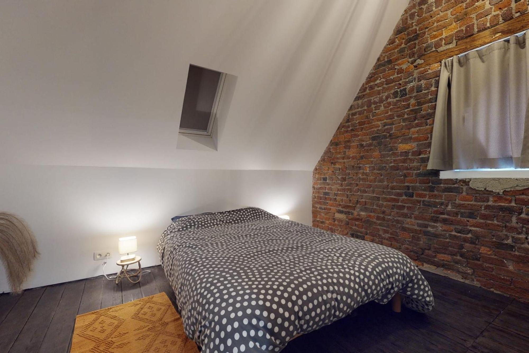 Quai Saint-Leonard - La Renommee Liege Villa Ngoại thất bức ảnh