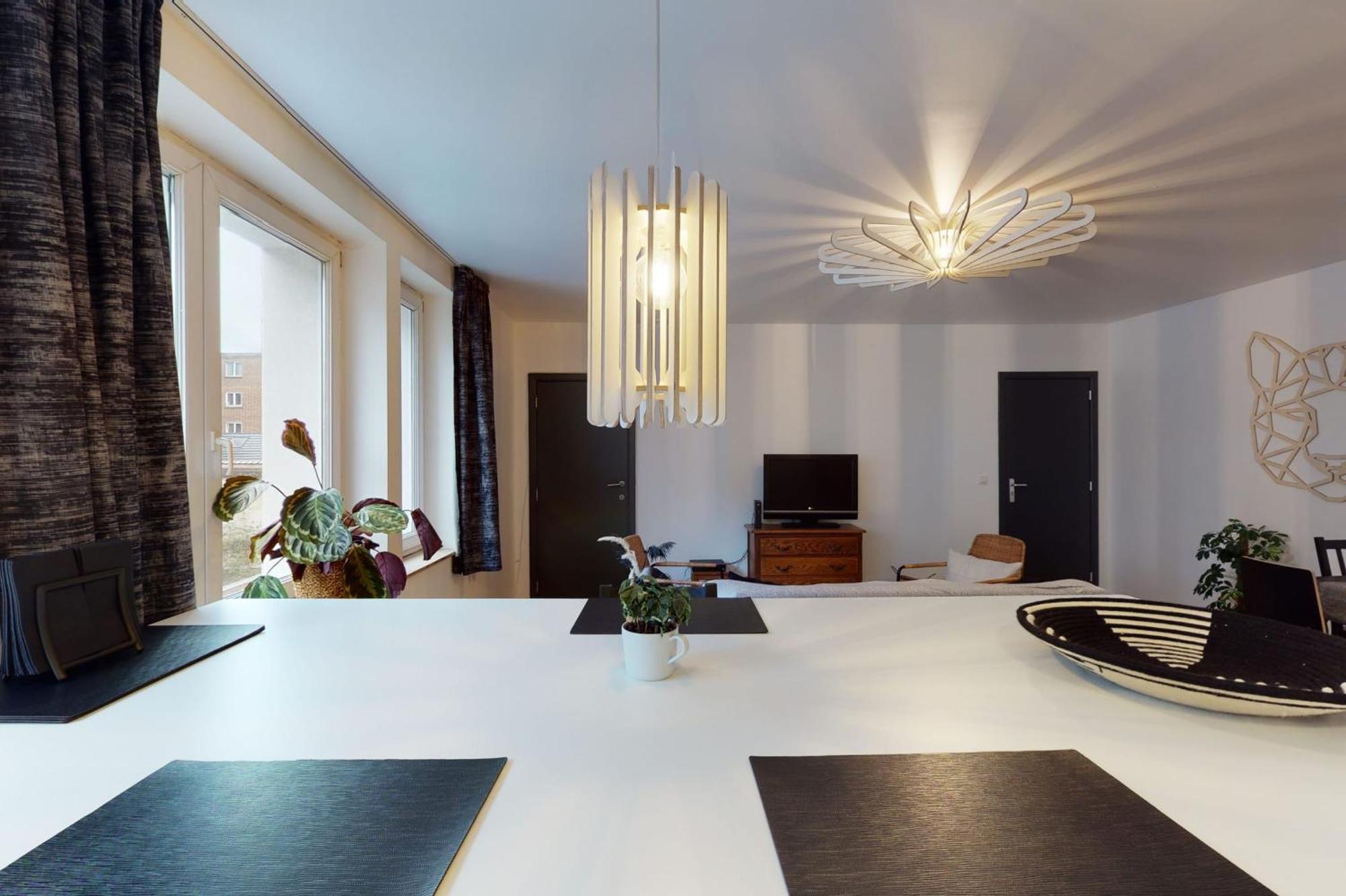 Quai Saint-Leonard - La Renommee Liege Villa Ngoại thất bức ảnh